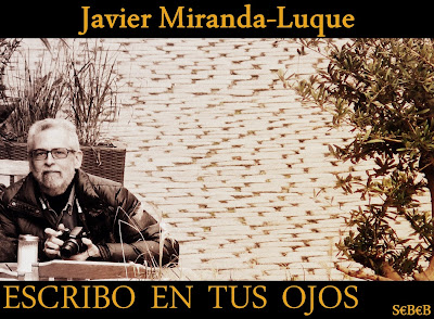 Javier Miranda - Blog