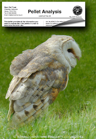Boxmoor Naturally Week 44 Barn Owl Pellet Dissection Analysis