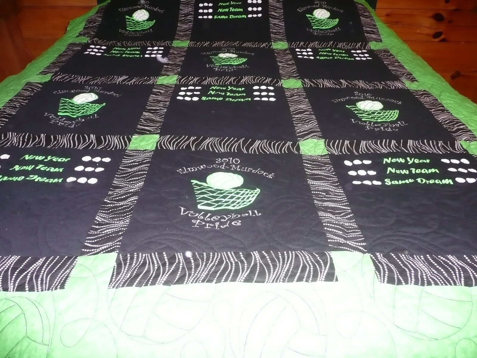 Acorn Ridge Quilting Deanna's 2nd Volleyball Quilt