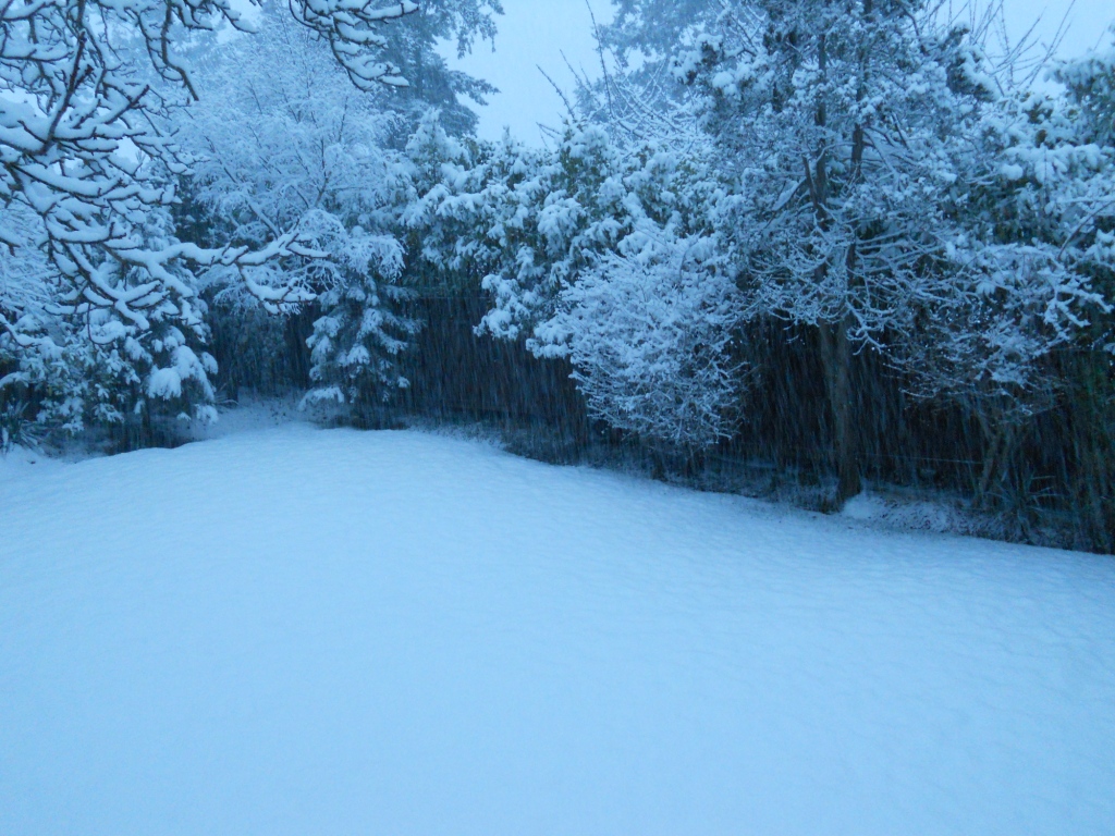 Snacking Squirrel: Freak February Snow Storm