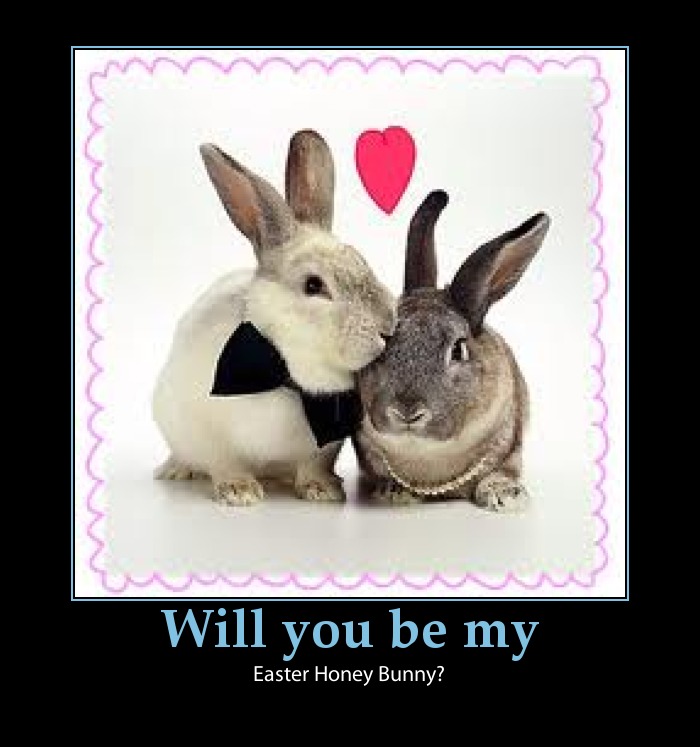 Funny Easter Bunny Jokes