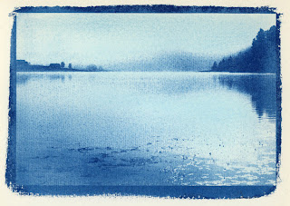 Cyanotype de Jean-Bernard Vuille