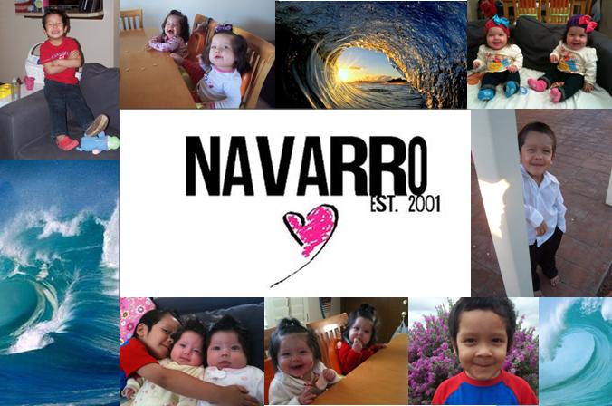 Navarro