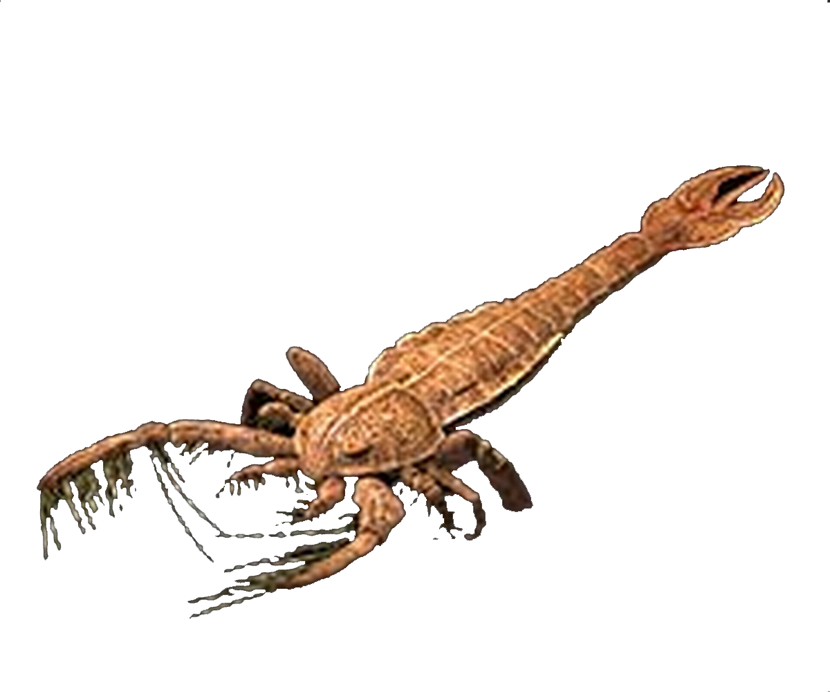 5 Giant Animals that S...