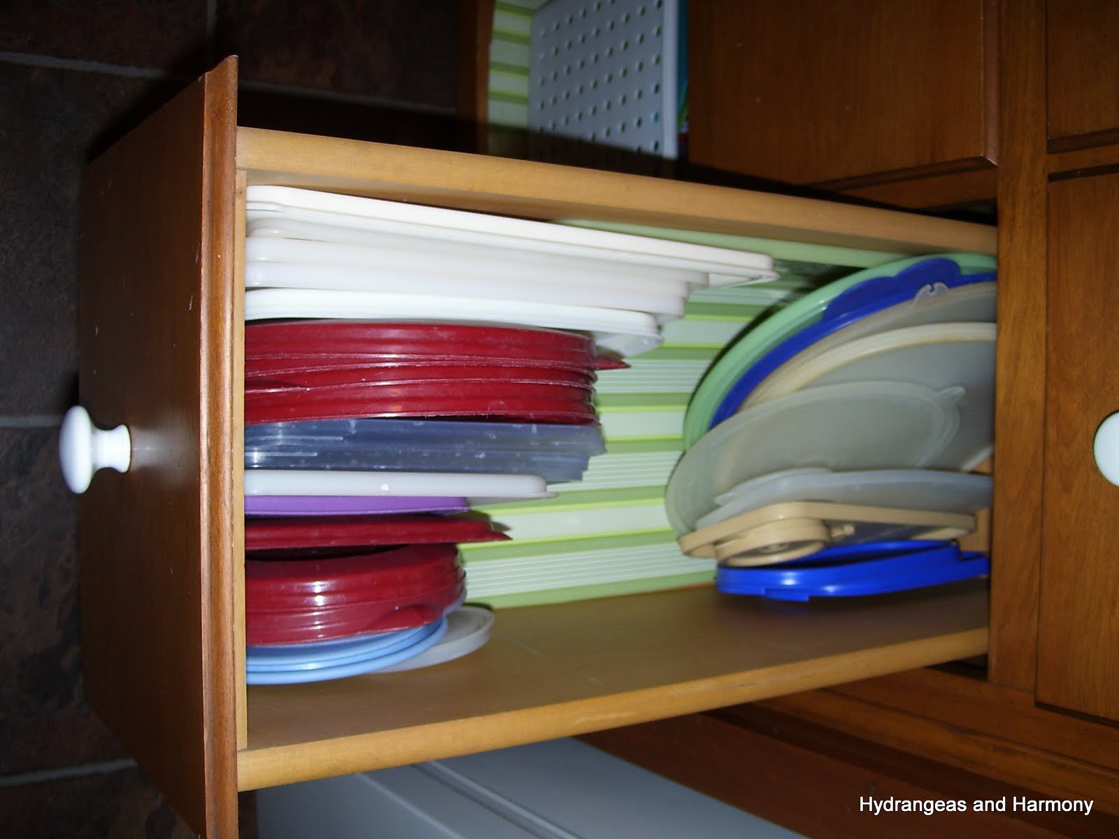 Hydrangeas and Harmony Day 3 Getting Organized Challenge (The Messy Tupperware