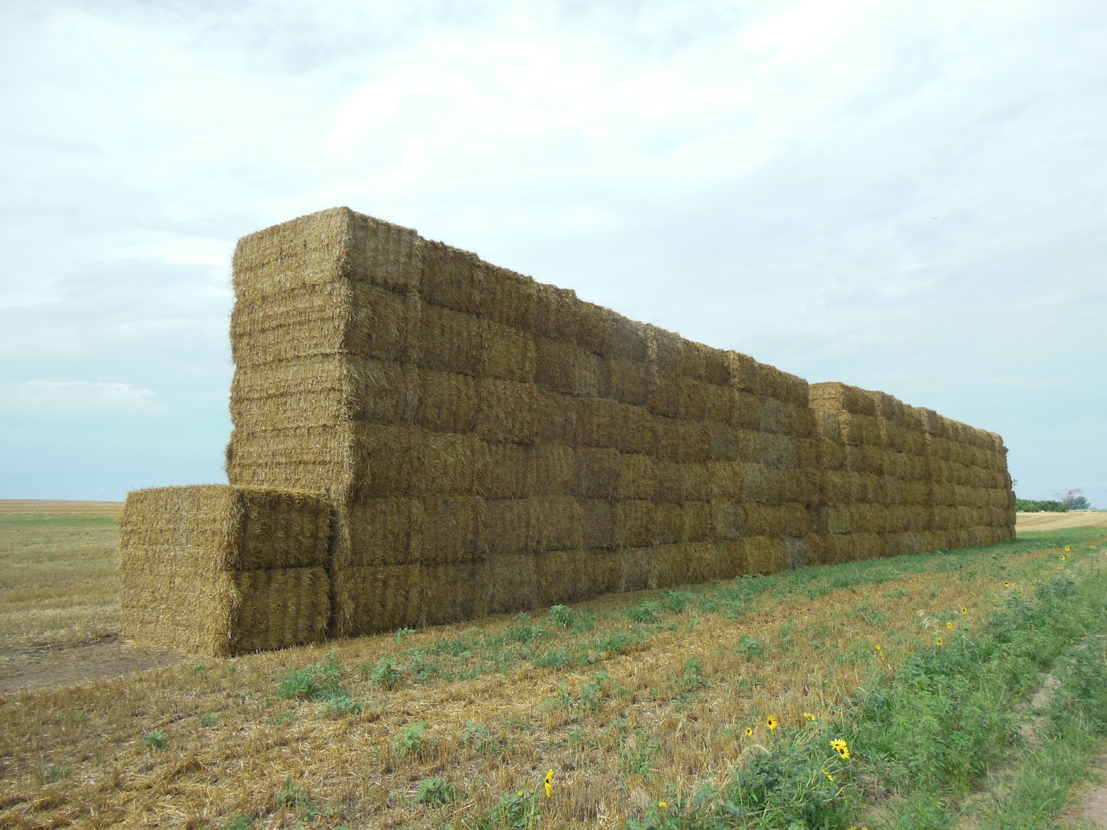 Kim's County Line Farmers The Ultimate Recyclers