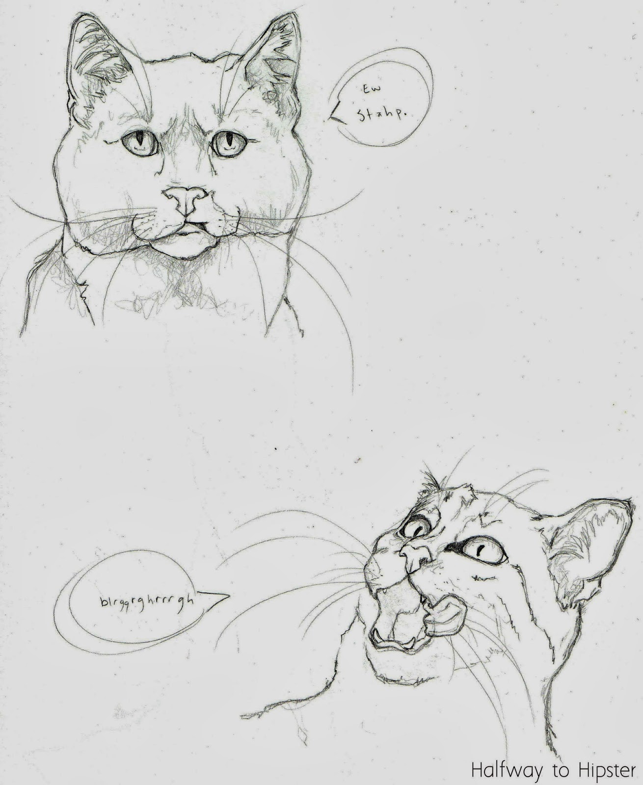 easy cat sketches easy cat sketches