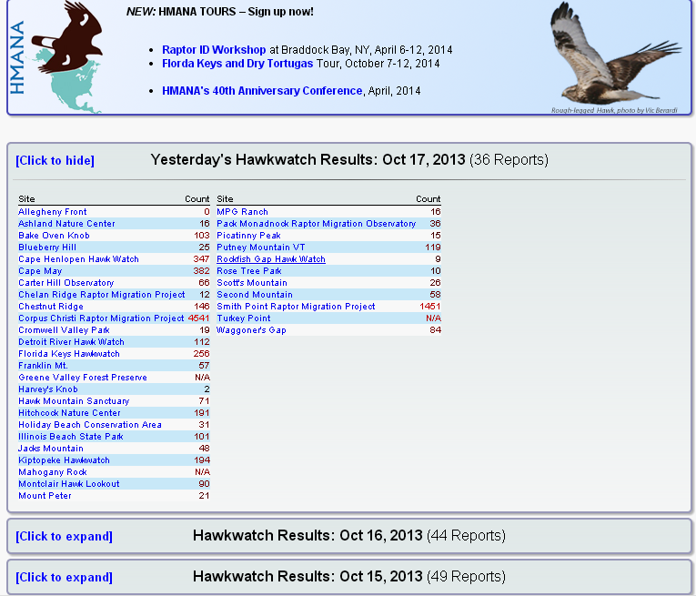 International hawk migration week picture