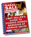 eBay Seller's Guide