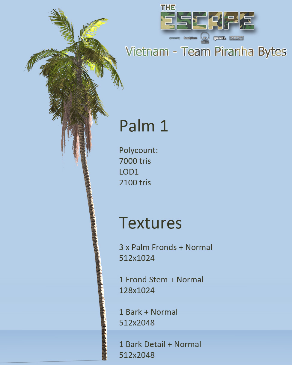 Palm_1.jpg