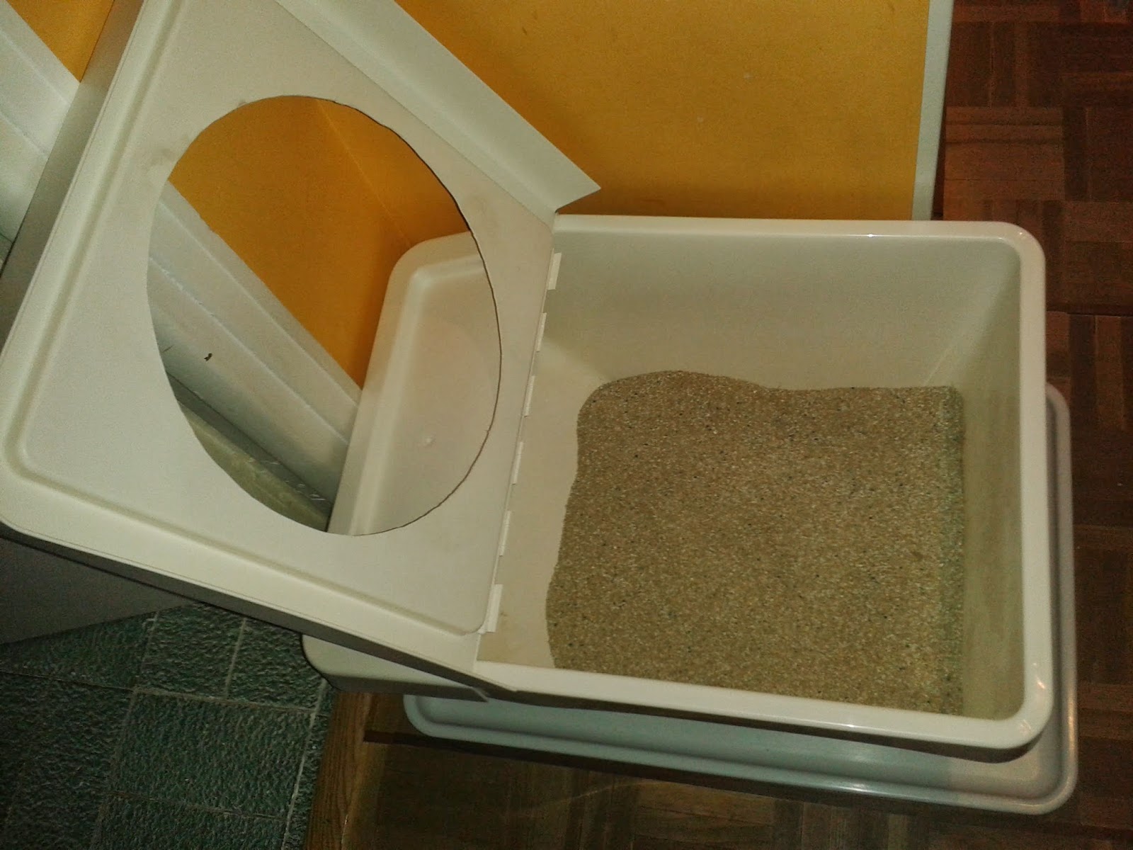 Cajón de arena para gatos DiY abierto cajon de arena para gatos diy abierto