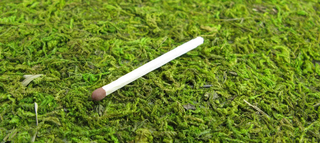 Pottopper1.jpg
