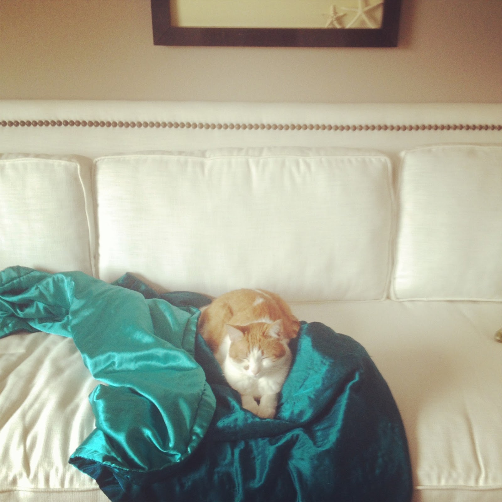 Turned to Design New Salvation Army Sofas!