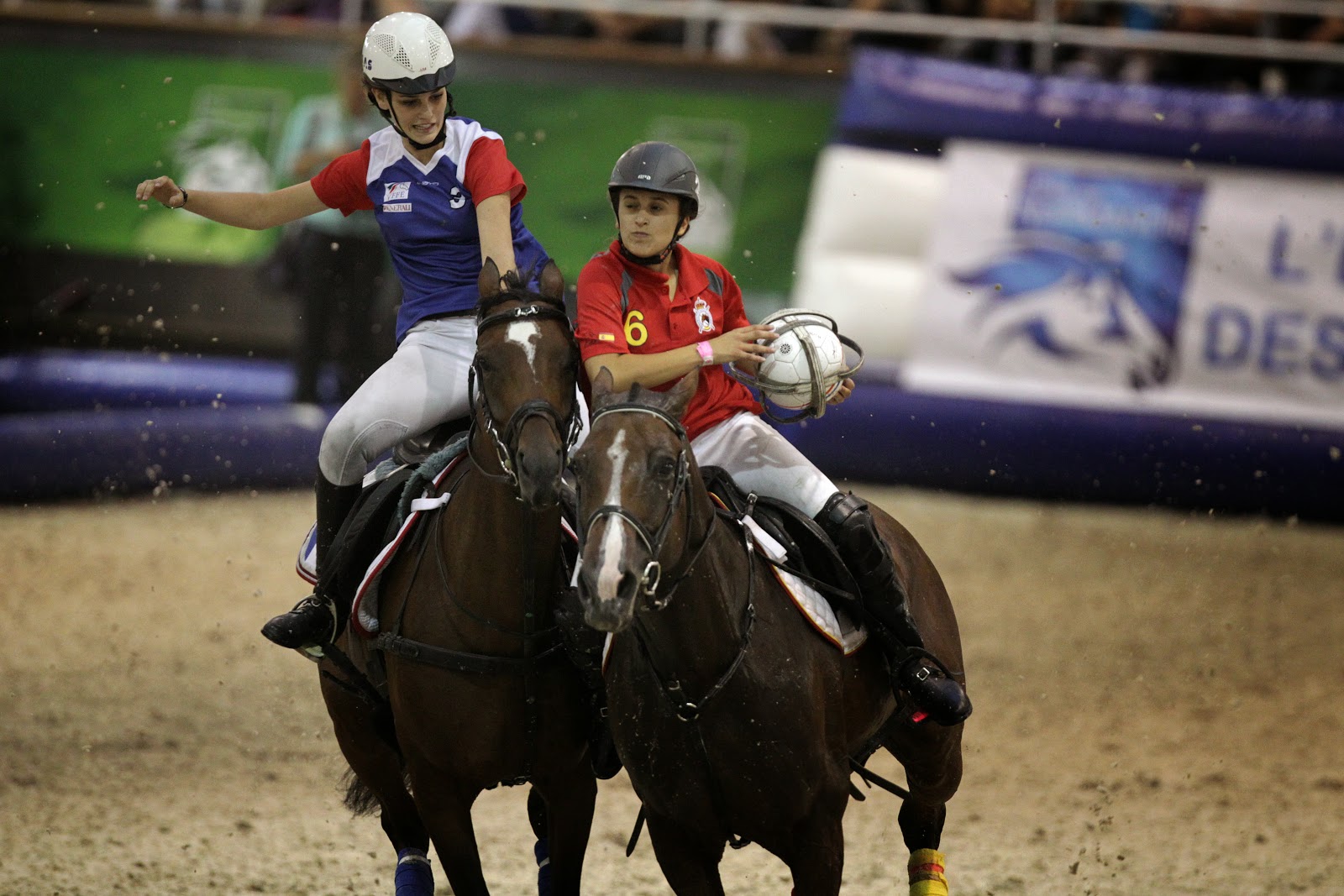 HorseBall game during FEI World Equestrian Games HD Photos