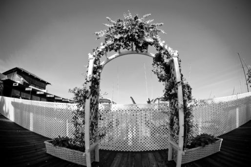 Below are the best wedding arch decorations pictures