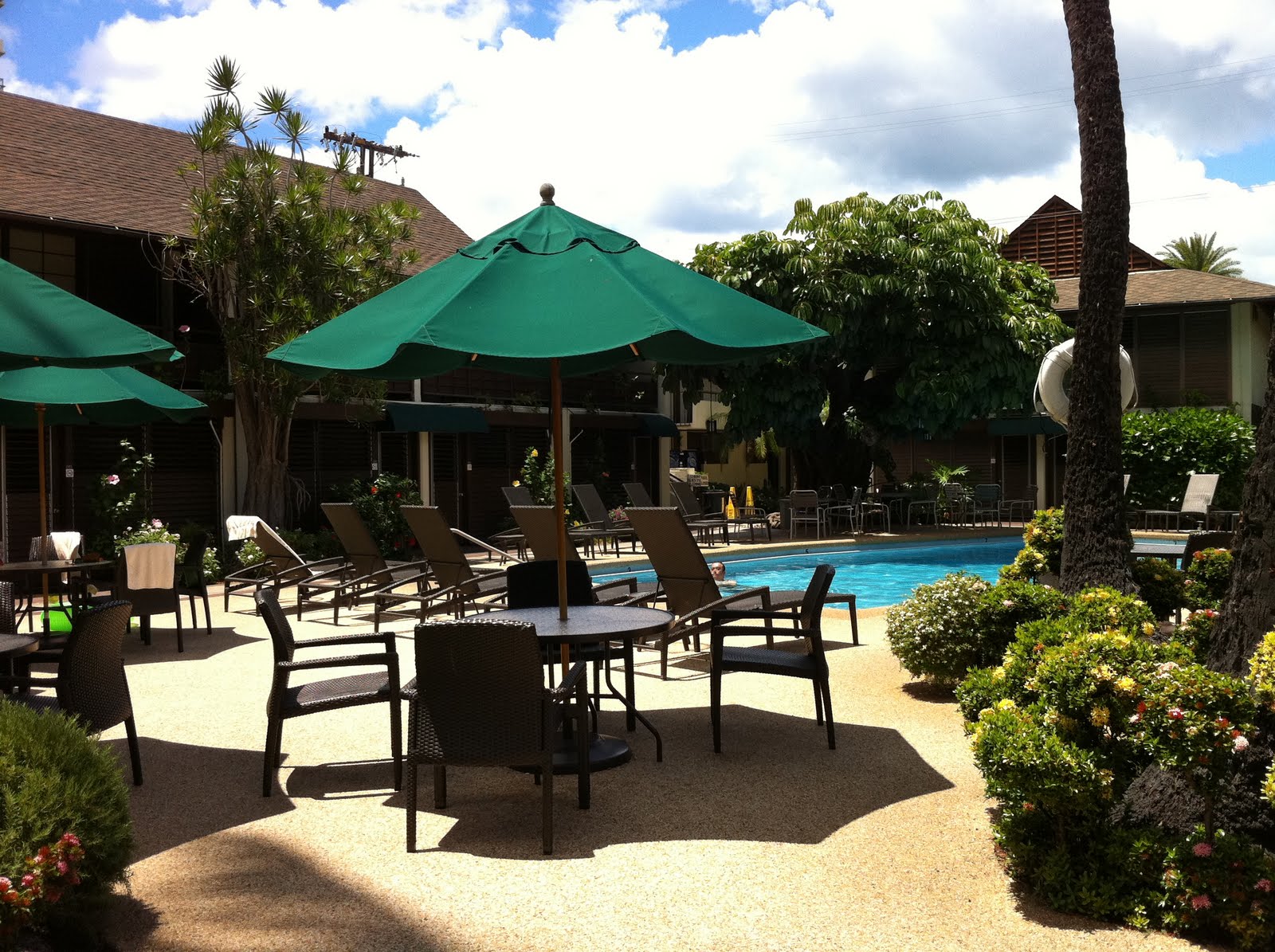 TASTE OF HAWAII WASABI BISTRO