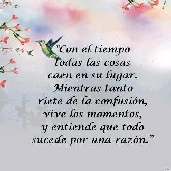 Afbeeldingsresultaat voor el tiempo lo dira todo frases