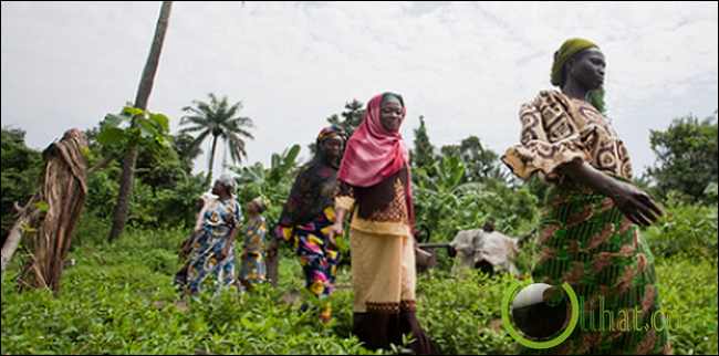 Uroko Onoja Uroko Onoja