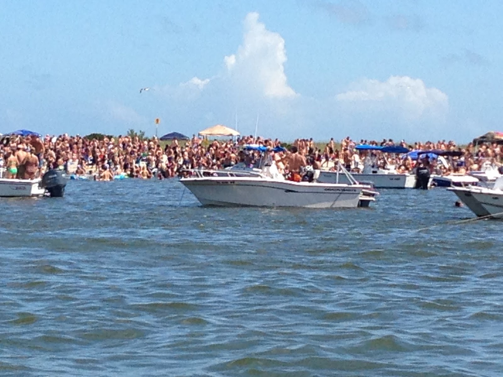 Wrightsville BeachKeep It Clean Sun, People, Trash and Turtles