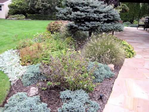 A GUIDE TO NORTHEASTERN GARDENING: October 2012