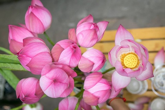 [Image: nhung-binh-hoa-dep-ma-re-3.jpg]