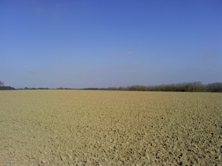 Baddesley Ensor - Near to Birch Coppice industrial park