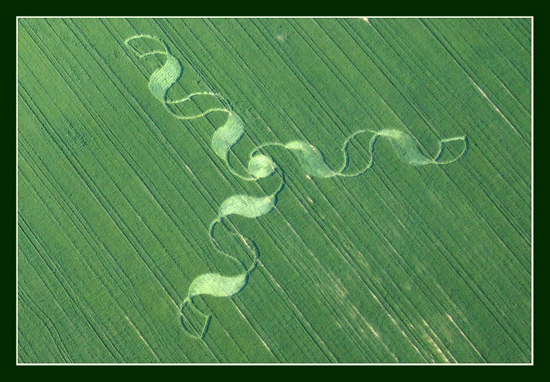 nazisme et occultisme 3D+Ribbons+Crop+Circle+at+Wewelsburg,+near+Paderborn+Germany+28th+May+2012