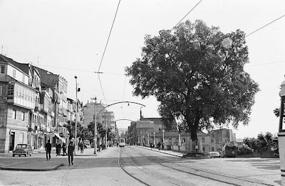 Tu Desastre Vigo Foto antigua del Olivo de Vigo