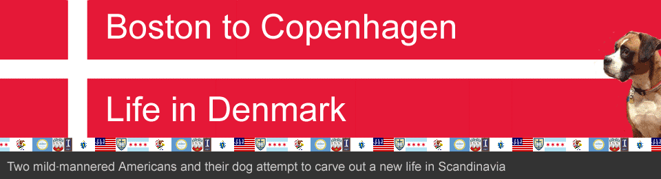 Boston to Copenhagen : Life in Denmark