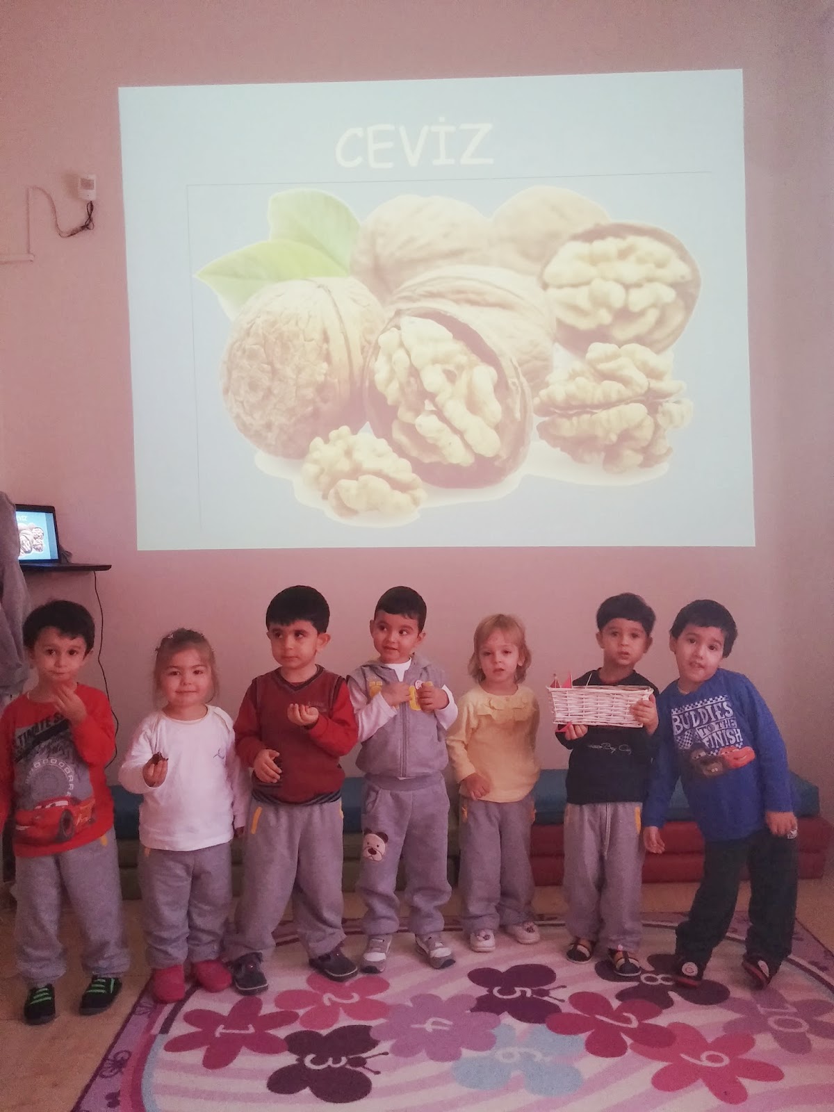 Derya Oncu Egitim Kurumlari Blog Cevizin Faydalari