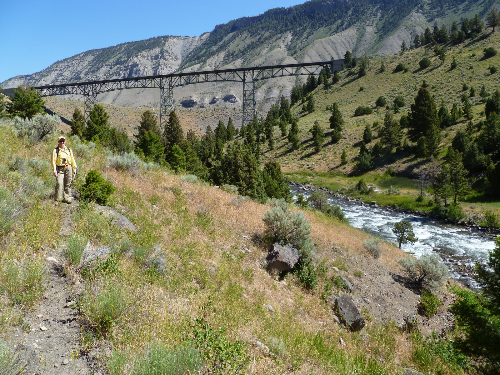 The Gardner River at the High Bridge