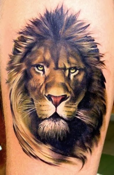 the best lion tattoos lion publications the best lion tattoos lion publications