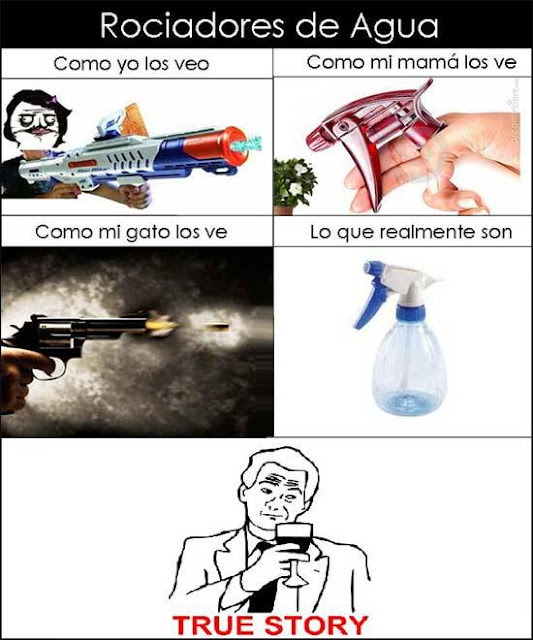 chiste humor memes