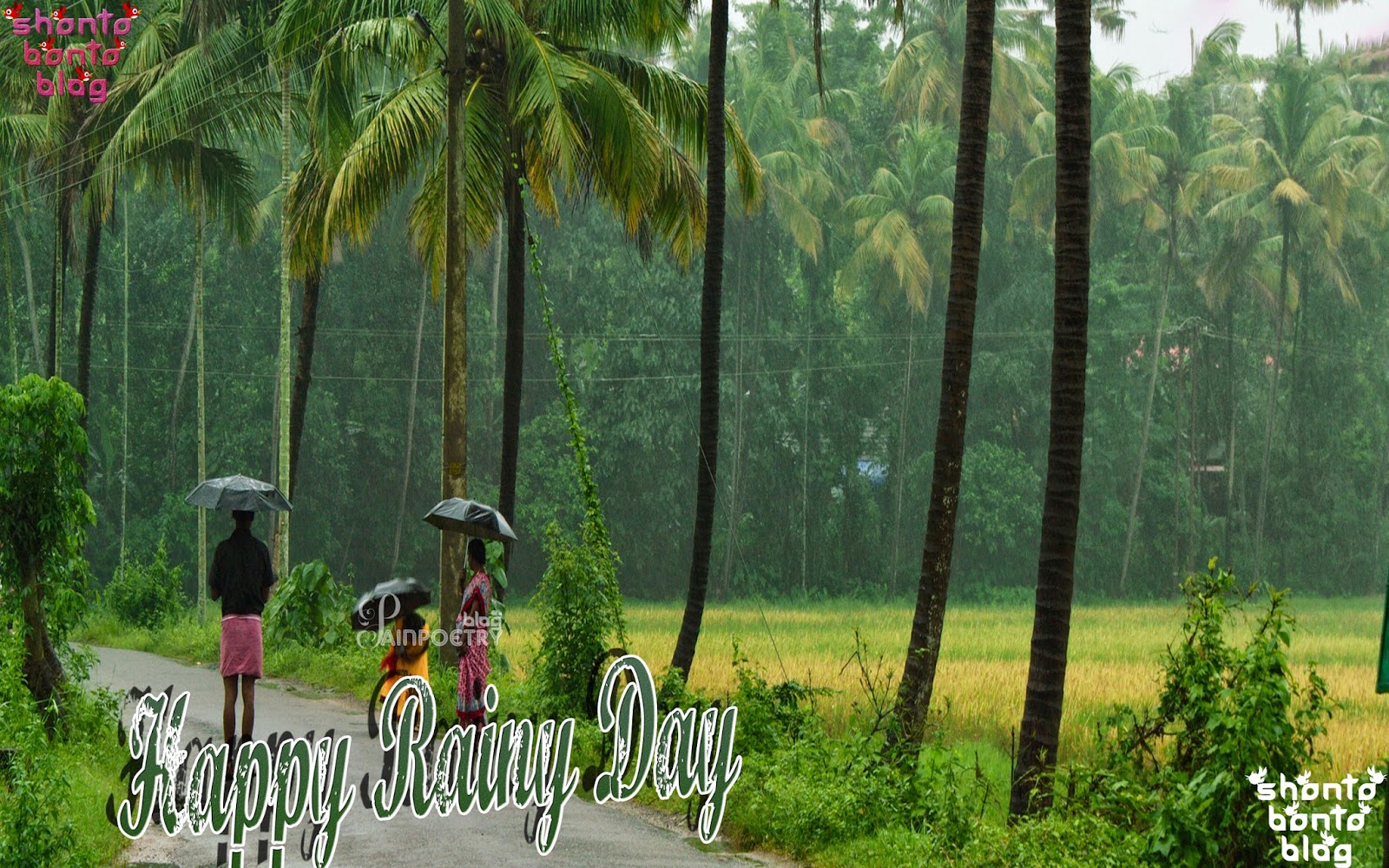 Top Wallpaper Rainy Day Pics