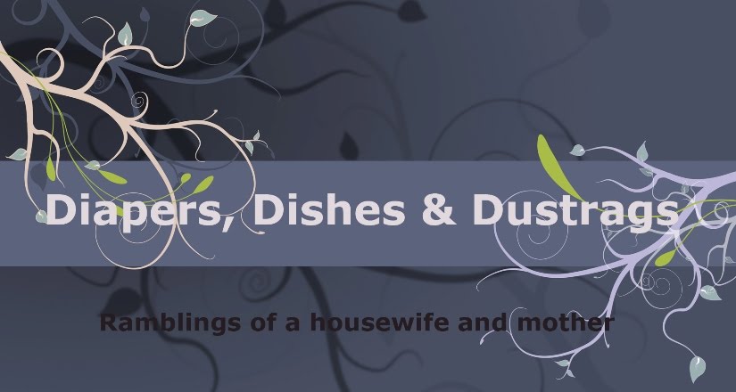 Diapers, Dishes and Dustrags