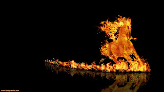 Digital Fire Horse images