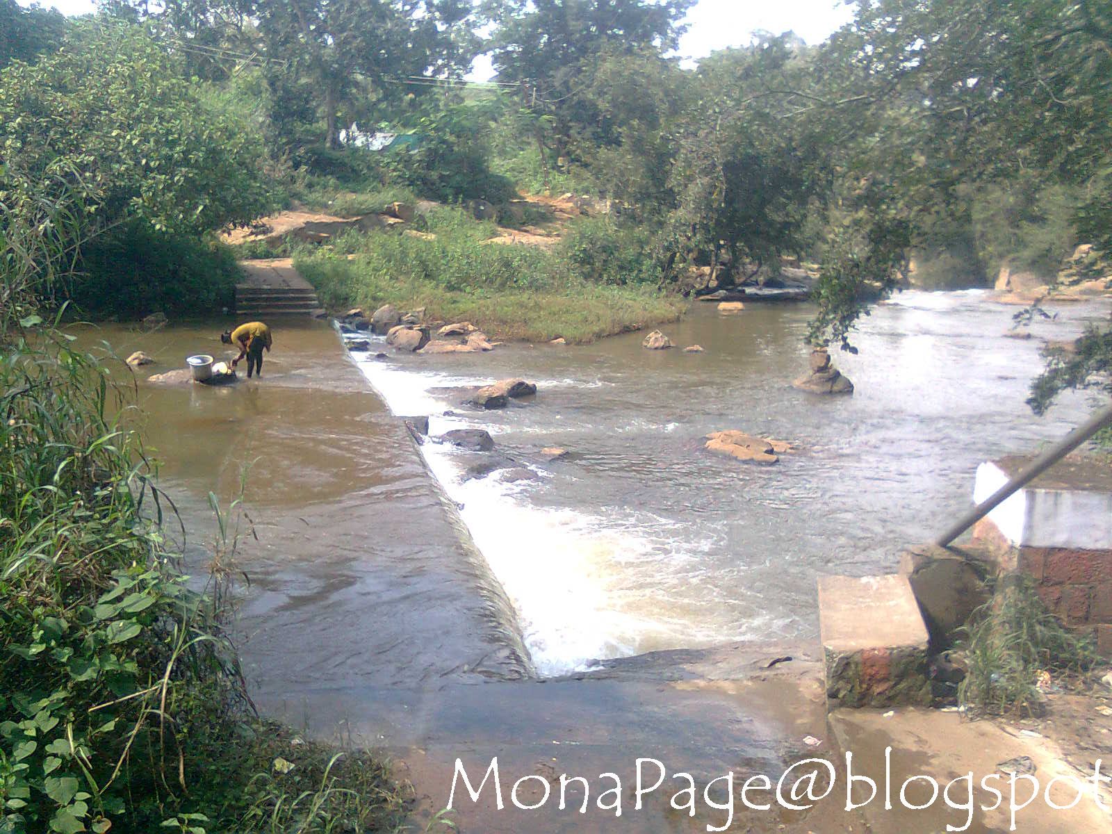 Tamil Meaning of Stream (as In Blood Stream) - அருவி