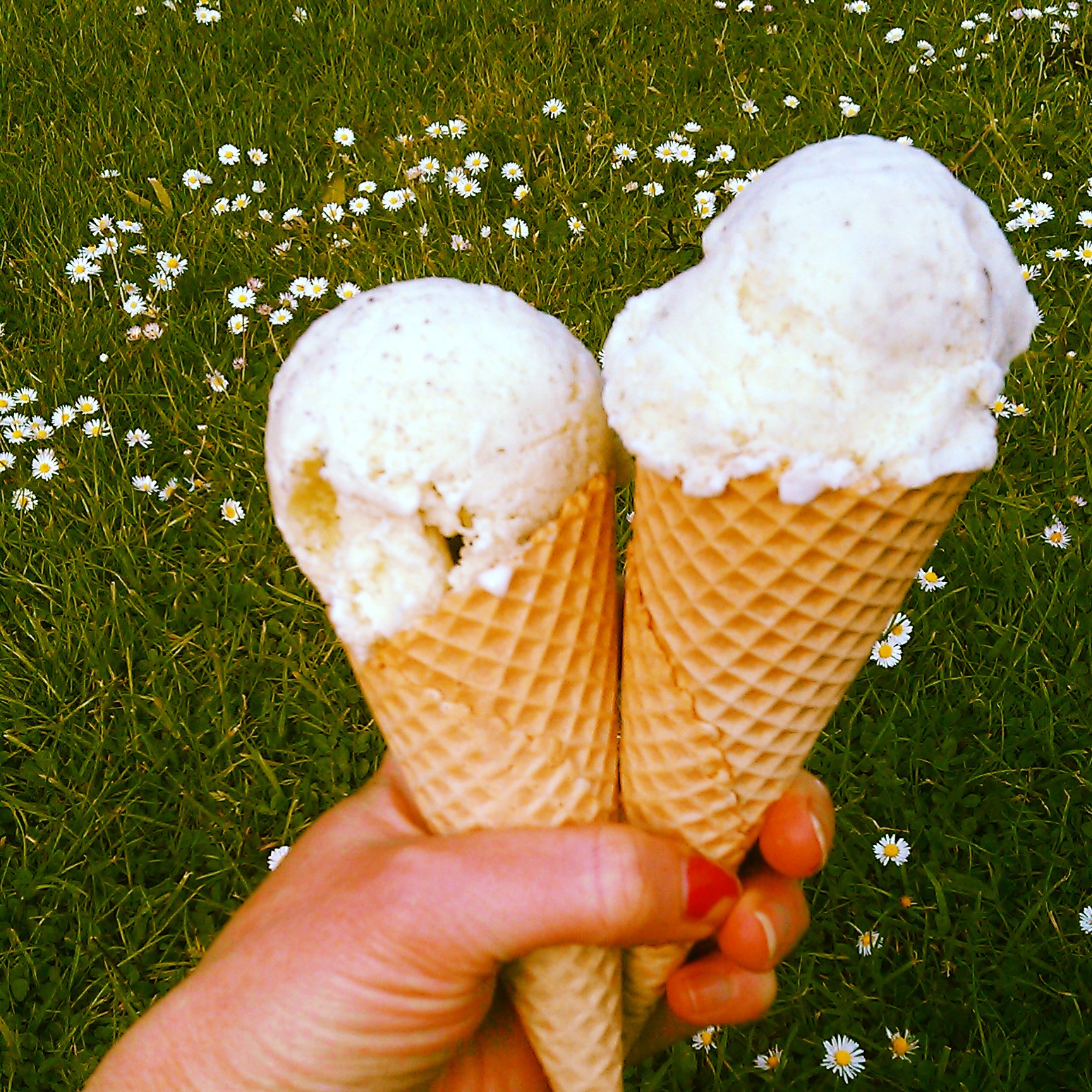 Caught My Eye How to Make the Best Mint Ice Cream in 5 Easy Minutes