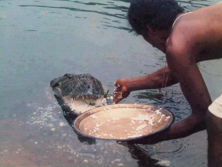 Discover the lost heritage and Culture of the world!: Vegetarian Crocodile  in Ananthapura Lake Temple, Kasaragod, Kerala