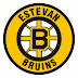 Estevan Bruins