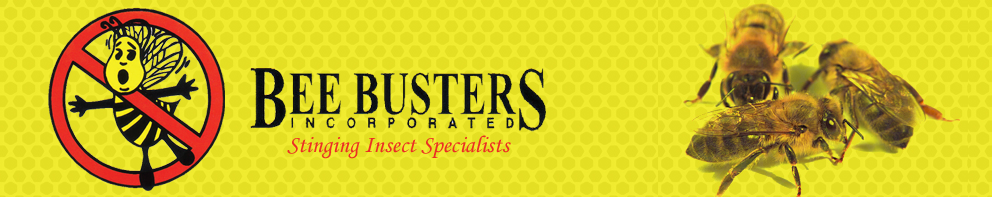 Pest Control Service | Bee-Busters, Inc.