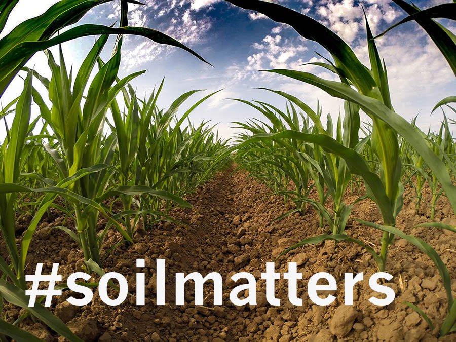 #SoilMatters