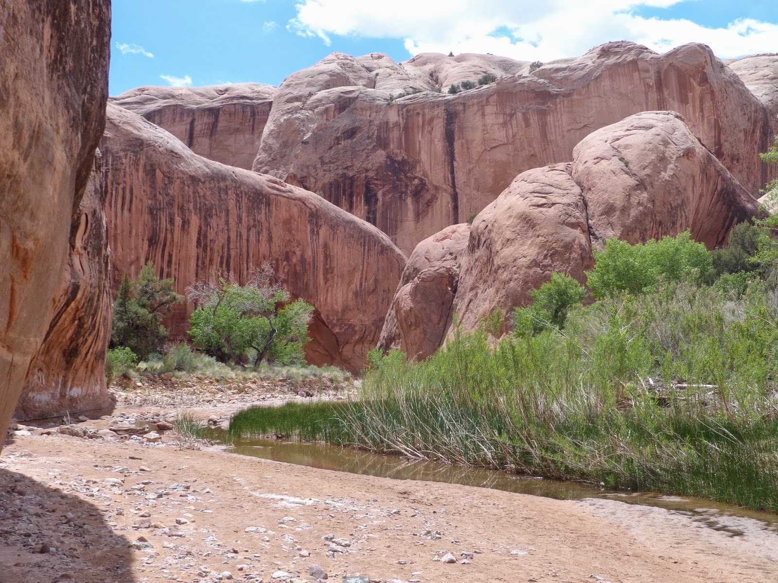 Random Adventuring... Halls Creek Narrows Capitol Reef National Park