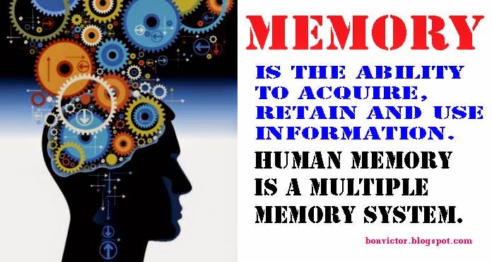 understanding human memory Remembering about memory the understanding and application of the information in this unit directly serve to enhance student study skills exercises and activities have been selected to provide a deeper understanding of specific topics and gener. understanding human memory Remembering about memory the understanding and application of the information in this unit directly serve to enhance student study skills exercises and activities have been selected to provide a deeper understanding of specific topics and gener.
