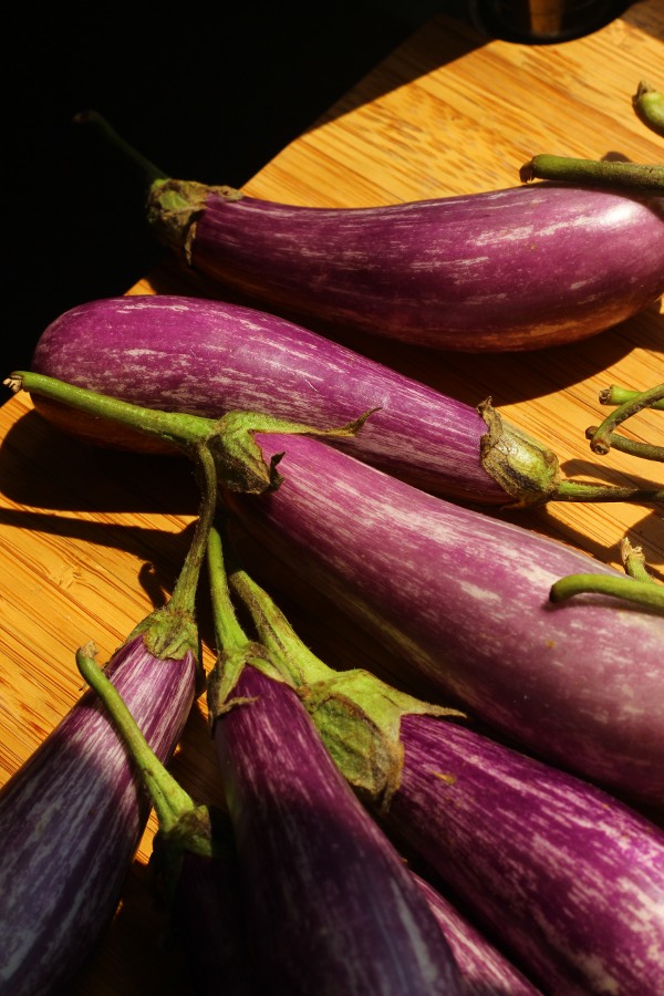 Shade Tree Chef Stuffed Fairy Tale Eggplant