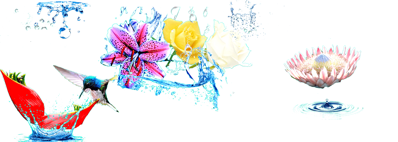 New Age Of Activisim Com We Continue To Recognize Excellence In 2020 Keep America Great X X Offering To The Sacred Flame Beautiful Words And Phrases Newageofactivism Com Macha Awaited Acceptance Speech Galactic Council Of Light Ccaa X X X