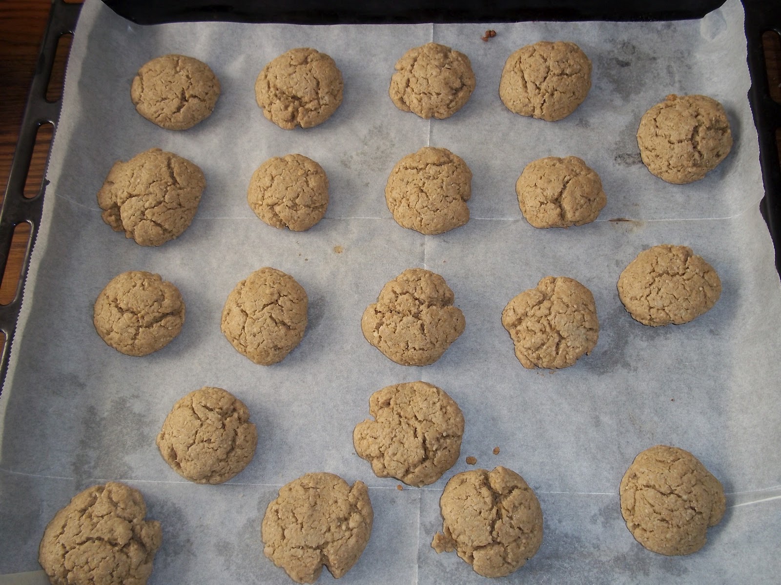 Sunflower Seed Gluten Free Cookie Recipe With Non GF Option and Sugar