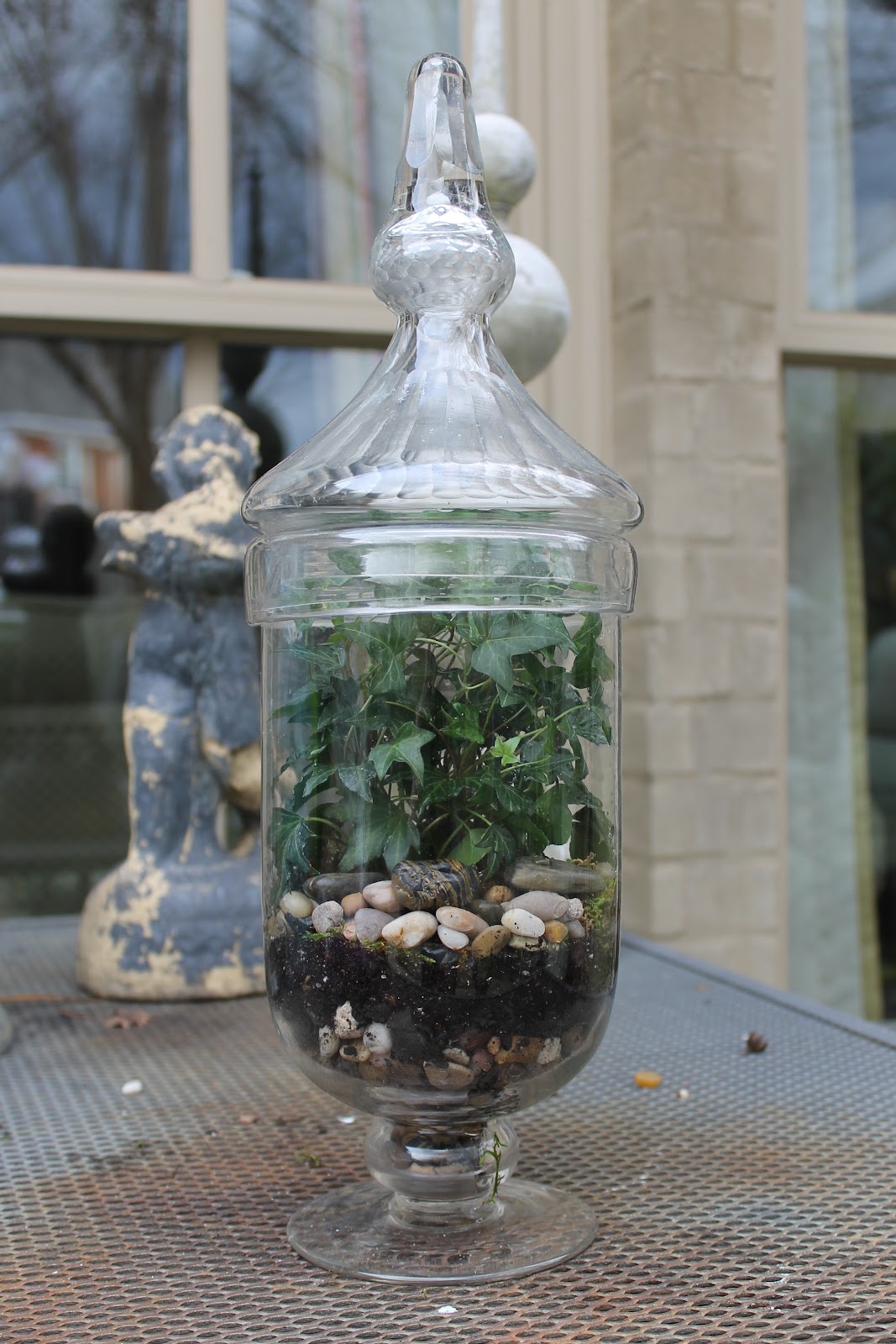 Miss Kopy Kat Terrarium Tips