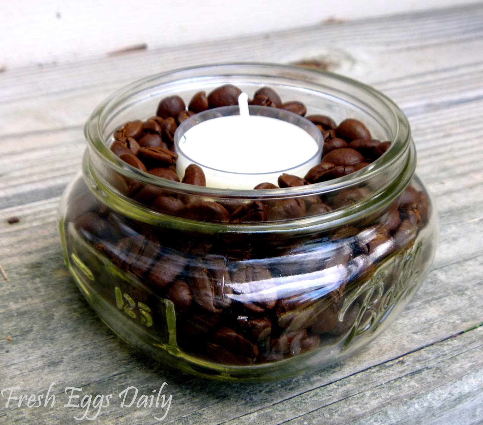 Coffee Bean Candle Holders Fresh Eggs Daily®
