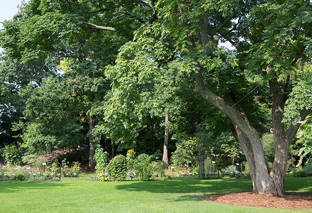 Jane Kramer Photographer W J Beal Botanical Garden At Michigan